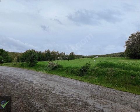Field for Sale in Kırklareli Armağan Village Our field is in Armağan Village of Kırklareli Center. Armağan Village is one of the preferred villages for bungalow and stone house construction. Our Field is a Wonderful Place in the Forest. It is a virgi...