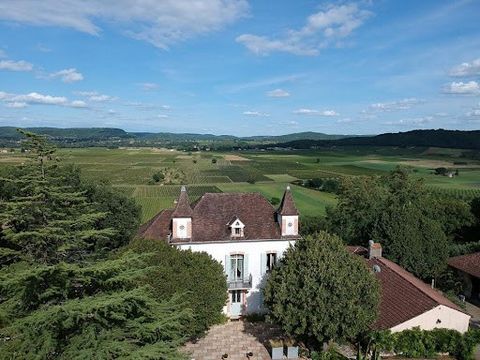 46000 Cahors à 30 minutes, maison bourgeoise avec une vue imprenable sur le vignoble. Dépendance aménagée en gîte sur près de 330m², 13 pièces habitables au total, 7 chambres sur un terrain d'environ 5,6ha avec un accès à la rivière Lot. Grange et an...