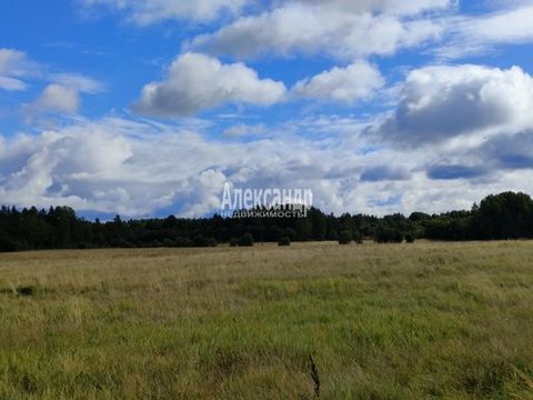 1691049 Выборгский район, Красносельское с/п, в полутора км от пос. Климово, 90 км от Санкт-Петербурга, продается участок площадью 78 соток, площадь суммарная из двух участков (71+7 соток) на землях сельскохозяйственного назначения для ведения сельск...