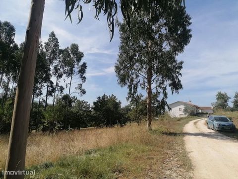 Praktisch flaches Grundstück in einer ruhigen Gegend, sehr sonnig, mit herrlichem Blick über Serra d'Aire und Candeeiros. Ideal für den Bau eines Hauses oder eines kleinen Bauernhofs. Es hat eine ausgezeichnete Lage, neben der Straße N8, mit guter An...