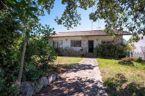 Casa in ottime condizioni, con seminterrato suddiviso in una cucina Alentejo, bagno, camera da letto e garage. Al primo piano c'è una cucina, due bagni e quattro camere da letto, di cui una con bagno privato. Questa casa si trova vicino all'IC2, supe...