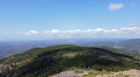 Cette propriété est synonyme d'exclusivité et d'intimité. Située au sommet de la montagne Picota, à une altitude de 750 m au-dessus du niveau de la mer, en Algarve, à Monchique, elle comprend 11 hectares de terrain et de ruines, orientés vers le sud....