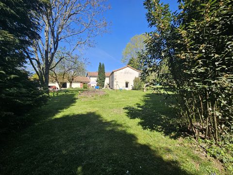 photo no. 6