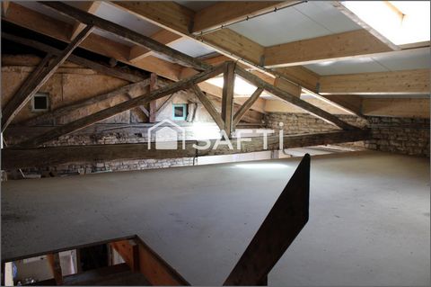photo no. 11