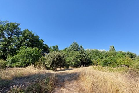 photo no. 5