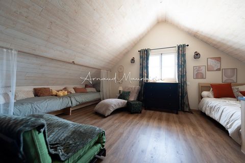 photo no. 13