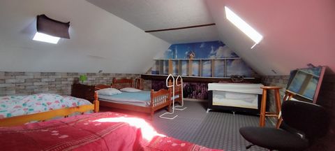 photo no. 6