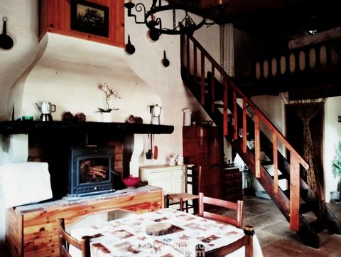 photo no. 8