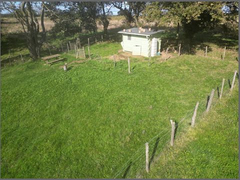 photo no. 11