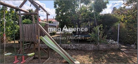 photo no. 9