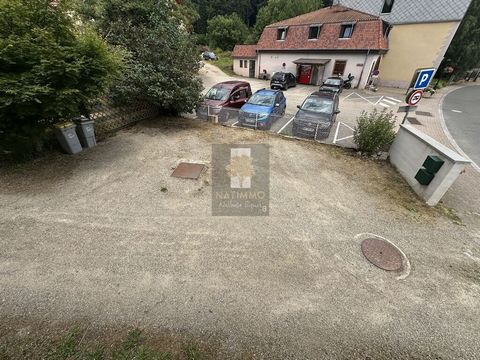 photo no. 9