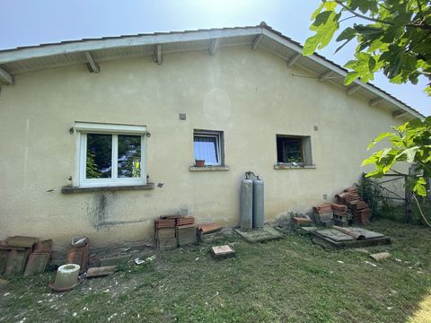 photo no. 4