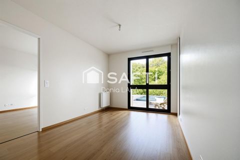 photo no. 6