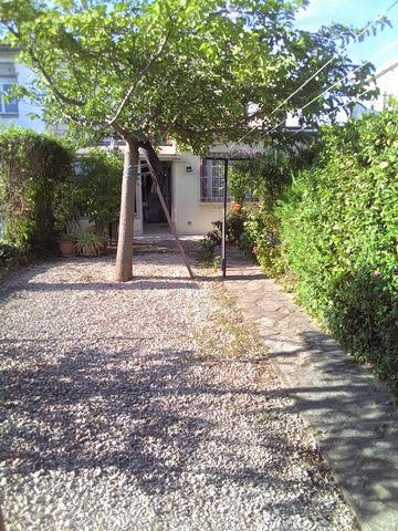 photo no. 7