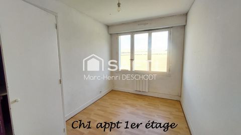 photo no. 10