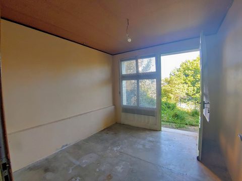 photo no. 15