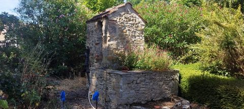 photo no. 15