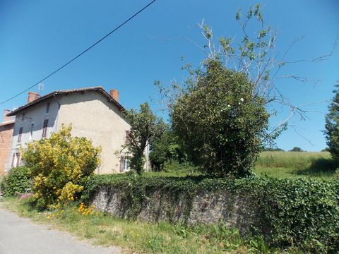 photo no. 4