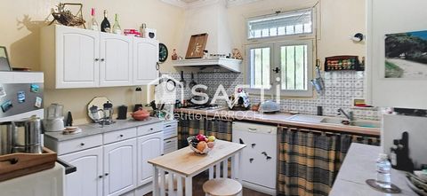 photo no. 7