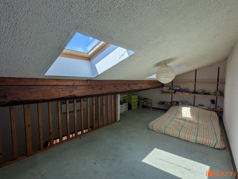 photo no. 12