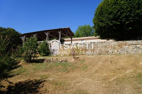 photo no. 4