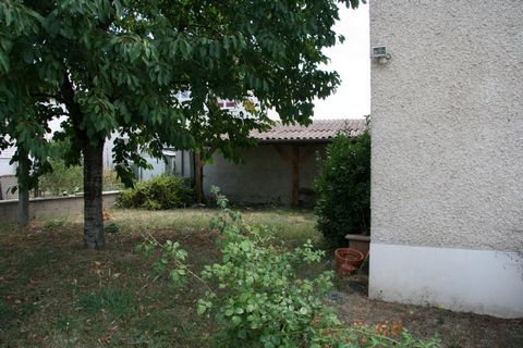 photo no. 9