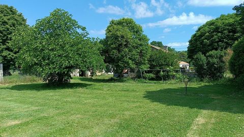 photo no. 2