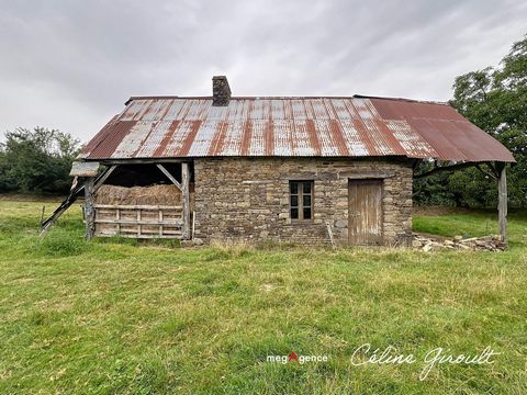 photo no. 13