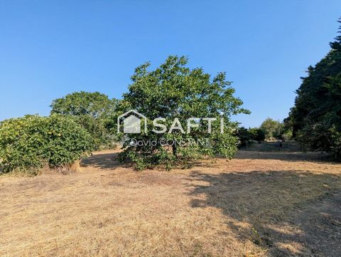 TERRAIN A BÂTIR - LIBRE DE CONSTRUCTEUR