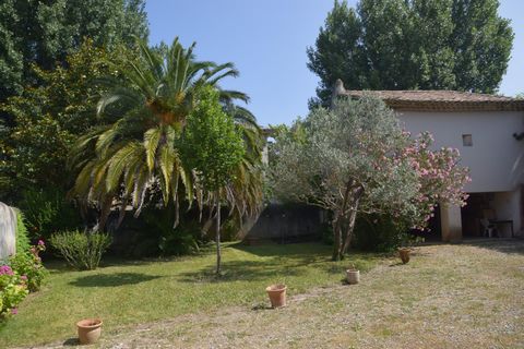 photo no. 9
