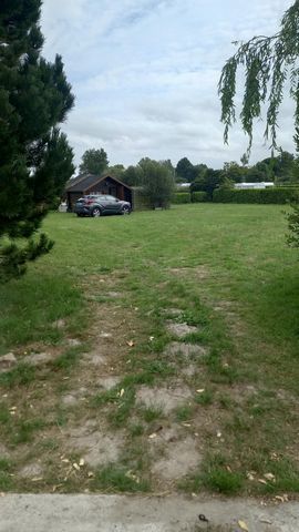 photo no. 6