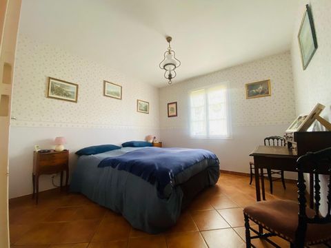 photo no. 12