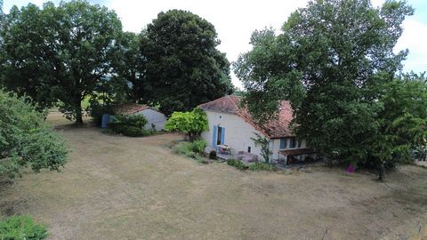 photo no. 2