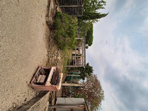 photo no. 11