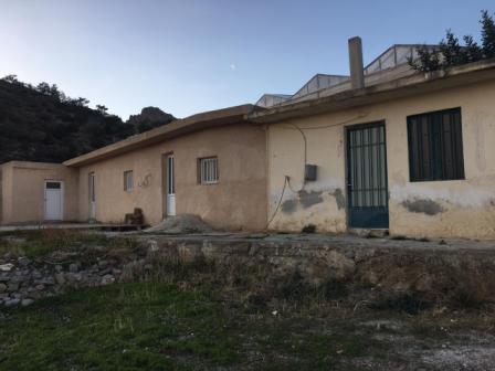Kalogeri, Ierapetra, Renovation project with seaview House approximately 70m2 in need of renovation in Kalogeri-Ierapetra. The house has 4 rooms and is located on a plot of 6000m2 and has 100 olive trees. It also has the ability to build another 160m...