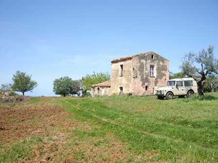 Farmhouse to renovate Charming farmhouse to renovate on two levels only 3 km away from Scalea, located in a peaceful and tranquil area. The property has 41,000 sq m of land with 400 extremely profitable olive trees. The land is in the processed of be...