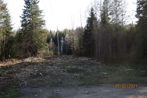 Commercial land at the entrance of the village of Saint-Donat on Rue Principale. Saint-Donat is in full expansion. Great opportunity to establish yourself in a space with great visibility. Neighborhood Patrick Morin, Home Hardware, Petro Canada, IGA,...