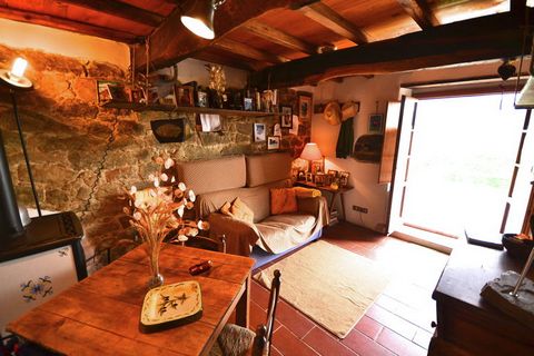 Authentic Tuscan country home situated between Pistoia and Lucca. This holiday home is the result of the skilful renovation of an old country property. The original characteristics and charm have been maintained. The structure is made up of 3 holiday...
