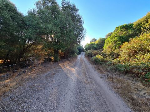 Excellent Plot of land for sale in Sassari Sardinia Italy Esales Property ID: es5553473 Property Location strada vicinale l’Eremittu', 07100, Sassari (SS), Sardinia, Italy Price is 490,000 euros negotiable Property Details Here we present an excellen...
