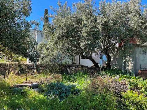 An old stone house for renovation with a garden tucked away in the old village of Milatos, East Crete. The property is a single level building of approx 70m2 with a flat roof and concrete floors comprising 5 rooms in total, one of which has a corner ...