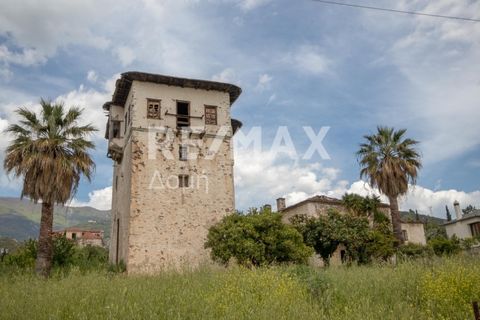 Real Estate agent - Efstathiou ioannis. Available for sale exclusively in Ano Lechonia Pelion, one of the most beautiful and special properties in the prefecture. it is about the famous Olympus Tower, a building with a total area of 400 sq.m., togeth...