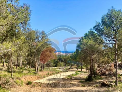 Land to build a single-family home with a pool, with water, electricity and telephone services at the foot of the plot. Good area a short distance from the center of Palamós and all its amenities. Good orientation to the sun. Good views of the sea in...