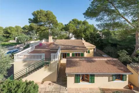 Detached family house in Son Serra de Marina, Mallorca North, with capacity for 6 guests. After a nice day on the beach, unwind on the spacious terrace while reading a good book or sunbathing on one of the four loungers. If you like cooking, you will...