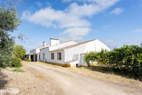 In the heart of Alentejo, in the village of Igrejinha (Arraiolos) is this detached villa with private pool with a total construction area of 617,470m2 inserted in a plot of land with 1775,000m2 with an unobstructed view of the beautiful Alentejo plai...