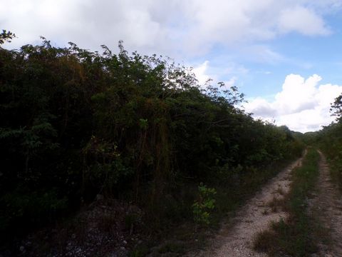 O' Neils Settlement is a hamlet in Long Island, Bahamas. O' Neils Settlement is situated nearby to the locality Simms and the hamlet Scrub Hill Settlement. This is a very quiet area in the north of Long Island. Explore the beautiful beaches that are ...