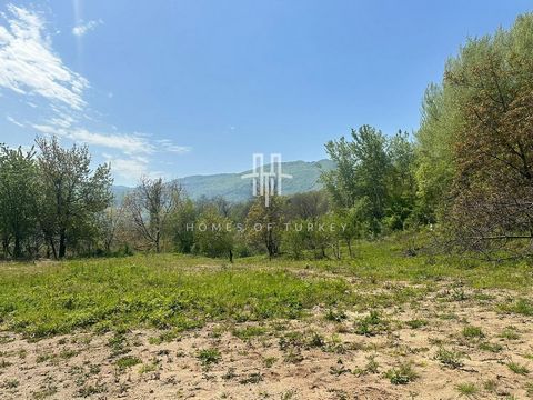 Investment land for sale in Bursa is located in Çayyaka neighborhood of İnegöl district. There are infrastructure systems such as residences, electricity, water and natural gas around the zoned land for sale in Bursa. It offers the green beauties of ...