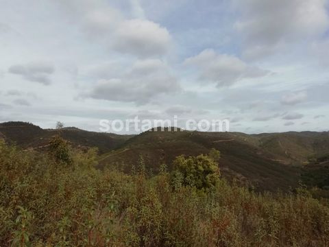 Monte Alentejano, located in a calm and peaceful place, in the Serra morena, close to São Barnabé, municipality of Almodôvar. The rustic land has 59,750 m2 and includes two urban plots. The property has beaten earth accesses in good condition, in som...