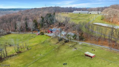 Welcome to Hart Farm, the pinnacle of equestrian luxury nestled in the heart of Hunterdon. This prestigious equestrian estate spans 67 acres of land, offering an idyllic haven for horse enthusiasts, history lovers and astute investors alike. The stat...