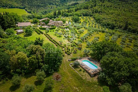 This beautiful property consists of several buildings, with a total of 19 rooms and 20 bathrooms and a surface of about 1000 sq.m. Some of the buildings date as far back as the 1400s and were developed around the old oil mill, which has remained part...