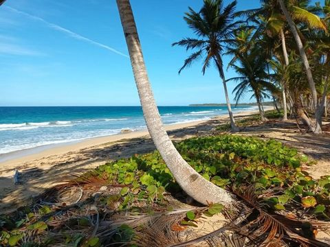 Large plot of land ideal for the development of tourism projects in Miches Beach, excellent opportunity. Land of 12,326 Mtrs² 450 Linear Meters of Beach Miches, El Seibo Province Description: •12,326.88 M2 •450 Linear Meters of Beach • All your docum...